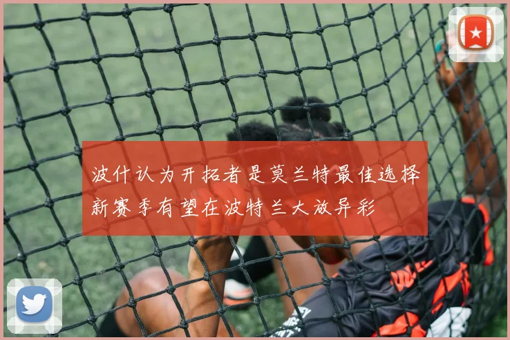 波什认为开拓者是莫兰特最佳选择新赛季有望在波特兰大放异彩
